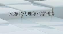 tst怎么代理怎么拿利润 多乐士代理利润怎么样
