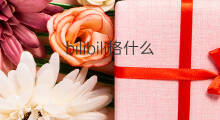 bilibili格什么 bilibili什么字体