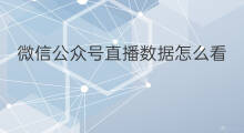 微信公众号直播数据怎么看 微信公众号哪里看直播数据