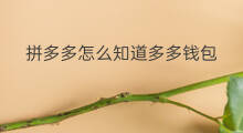 拼多多怎么知道多多钱包 拼多多多多钱包怎么查询