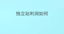 独立站利润如何 独立站利润如何计算
