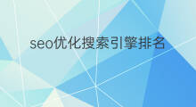 seo优化搜索引擎排名 seo搜索引擎优化seo搜索引擎