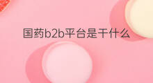 国药b2b平台是干什么 什么b2b平台