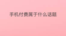 手机付费属于什么话题 预付费用属于什么科目