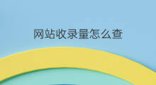 网站收录量怎么查 怎么查网站收录
