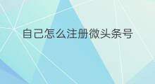 自己怎么注册微头条号 手机怎么注册微头条号