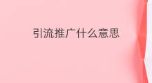 引流推广什么意思 引流什么意思