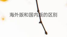 海外版和国内版的区别 chatgpt海外版 海外版和国内版的区别 chatgpt海外版