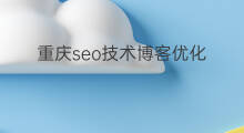 重庆seo技术博客优化 博客seo优化