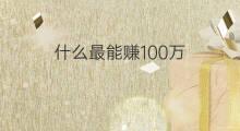 什么最能赚100万 什么能赚100万