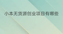 小本无货源创业项目有哪些 小本投资创业项目有哪些