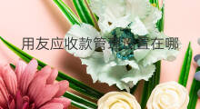 用友应收款管理设置在哪 用友如何冲其他应收款