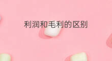 利润和毛利的区别 利润率和毛利率的区别