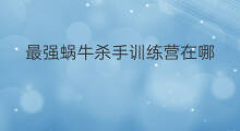 最强蜗牛杀手训练营在哪 杀手训练营怎么做