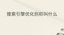 搜索引擎优化别称叫什么 搜索引擎优化别称什么