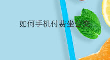 如何手机付费坐公交 鹤壁坐公交怎么付费
