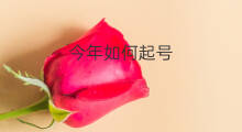 今年如何起号 财经号如何起号