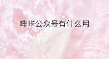 哔咔公众号有什么用 哔咔付费吗