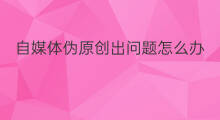 自媒体伪原创出问题怎么办 自媒体怎么写伪原创