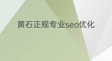 黄石正规专业seo优化 黄石专业seo公司费用