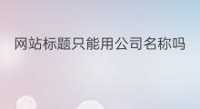 网站标题只能用公司名称吗 电商公司名称怎么起名