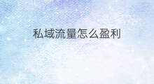 私域流量怎么盈利 什么是私域流量以及私域流量池