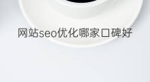 网站seo优化哪家口碑好 口碑好的网站seo优化软件
