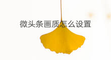 微头条画质怎么设置 快手设置观看画质怎么设置