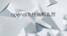 openai为什么那么厉害 快手为什么扣税那么厉害
