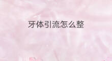 牙体引流怎么整 牙引流是什么意思