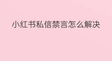 小红书私信禁言怎么解决 小红书禁言多久