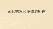 国际站怎么发物流短信 快手同城怎么发物流短信