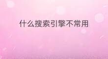 什么搜索引擎不常用 什么搜索引擎不常用英语