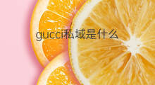 gucci私域是什么 私域人群是什么