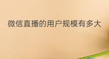 微信直播的用户规模有多大 快手直播平台用户规模多大