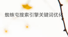蜘蛛屯搜索引擎关键词优化 随州关键词优化搜索引擎
