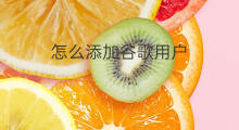 怎么添加谷歌用户 谷歌怎么添加插件