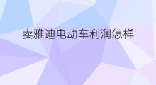 卖雅迪电动车利润怎样 跨境电商卖电动车吗