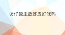 煲仔饭里放虾皮好吃吗 煲仔饭里放虾皮吗