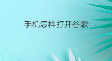 手机怎样打开谷歌 手机如何打开谷歌