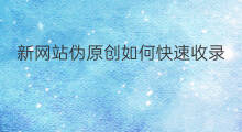 新网站伪原创如何快速收录 新网站怎样可以快速被收录