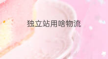 独立站用啥物流 独立站怎么用亚马逊物流