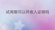 试用期可以开收入证明吗 shopify试用期能出单吗