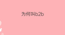为何叫b2b 什么叫b2b平台