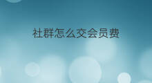 社群怎么交会员费 社群怎么交会员钱