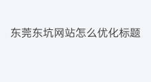 东莞东坑网站怎么优化标题 东莞市东坑网站优化标题