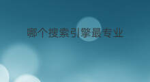 哪个搜索引擎最专业 哪个搜索引擎最专业排名