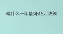做什么一年能赚45万块钱 怎么一年能赚100万块钱