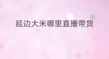 延边大米哪里直播带货 深圳哪里直播带货
