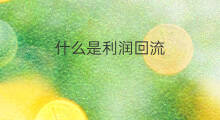 什么是利润回流 快手什么是刷回流